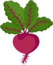 Vertically planted beet