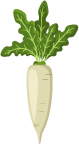 Vertically planted parsnip
